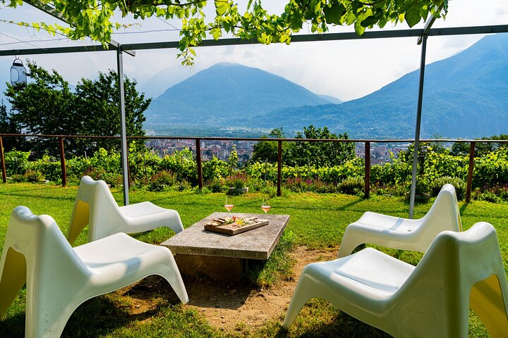 Savourez les vins Ossola et les friandises locales dans un vignoble pittoresque