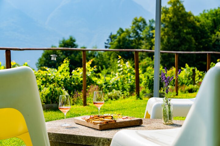 Savourez les vins Ossola et les friandises locales dans un vignoble pittoresque