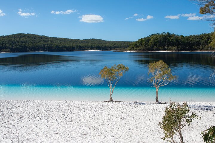 K'gari (Fraser Island) Excursão de um dia com tudo incluído