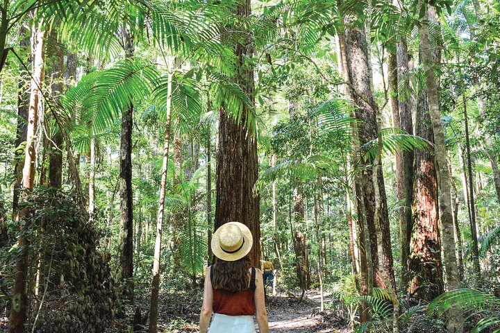 K'gari (Fraser Island) Excursão de um dia com tudo incluído