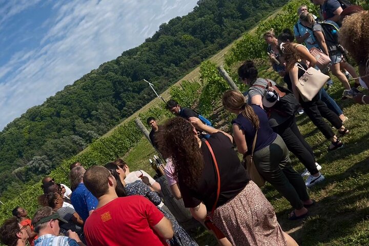 Dagstur till Niagarafallen inkluderar båtkryssning, vingårdsstopp och lunch