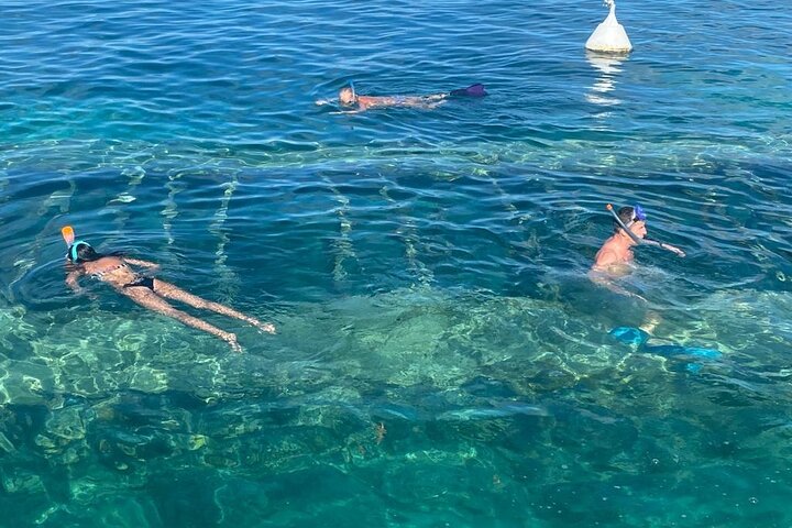 Boat trip visit Mangroves, islets and lagoon
