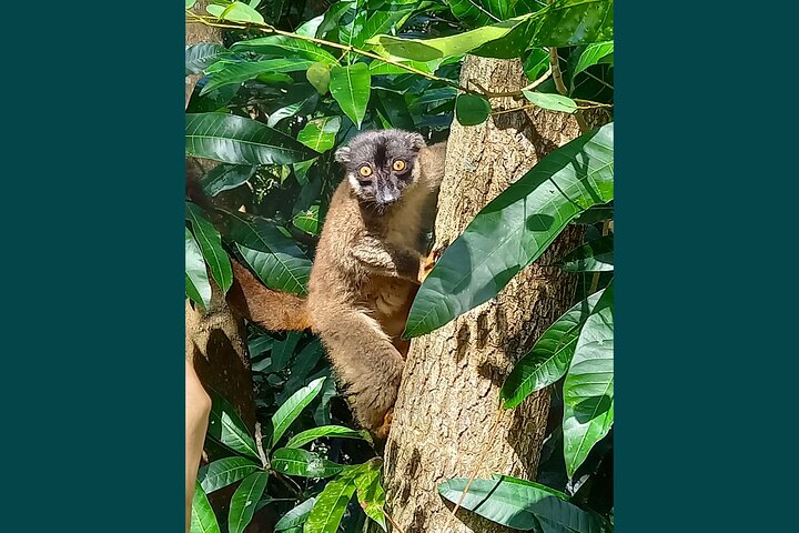 Excursão privada exclusiva de dia inteiro à Reserva Marinha Nosy Tanikely