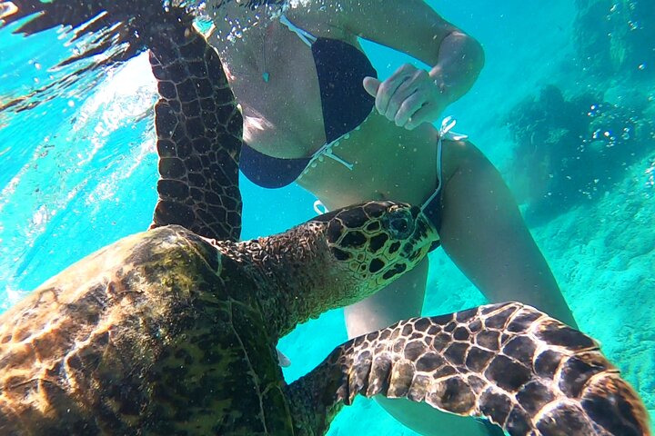 Excursão privada exclusiva de dia inteiro à Reserva Marinha Nosy Tanikely