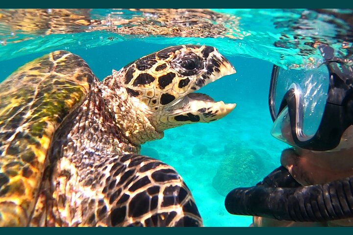 Excursão privada exclusiva de dia inteiro à Reserva Marinha Nosy Tanikely