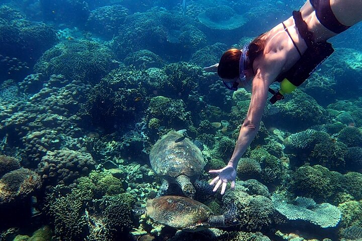 Excursão privada exclusiva de dia inteiro à Reserva Marinha Nosy Tanikely