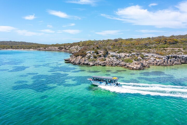 Experiência Coffin Bay Short and Sweet Oyster Farm Tour