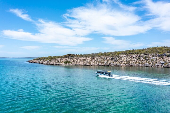 Experiência Coffin Bay Short and Sweet Oyster Farm Tour