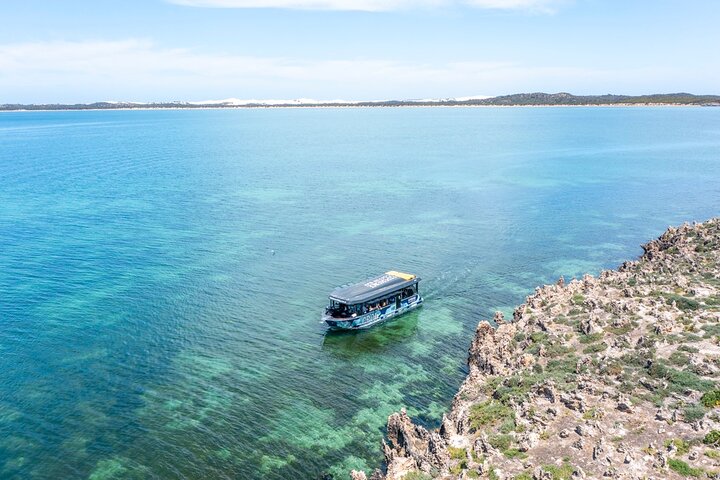 Experiência Coffin Bay Short and Sweet Oyster Farm Tour
