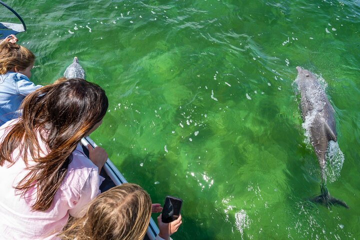 Experiência Coffin Bay Short and Sweet Oyster Farm Tour