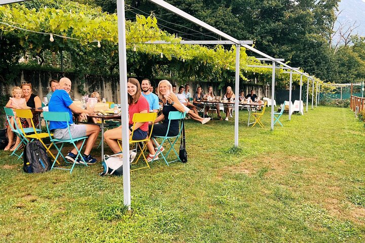 Savourez les vins Ossola et les friandises locales dans un vignoble pittoresque