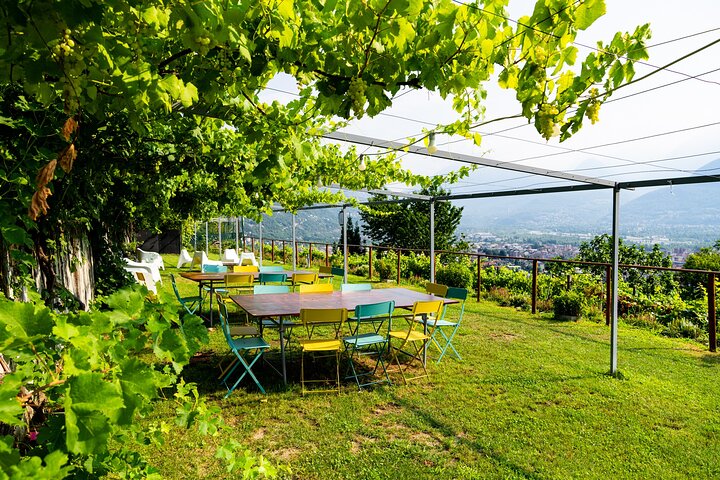 Savourez les vins Ossola et les friandises locales dans un vignoble pittoresque