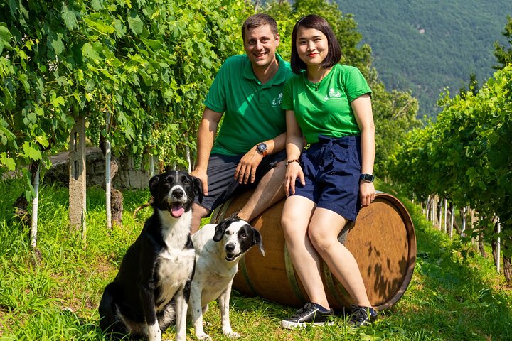 Savourez les vins Ossola et les friandises locales dans un vignoble pittoresque