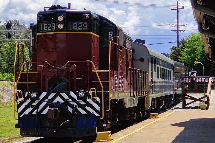 Aventura descarrilada – Tour combinado en trolebús y tren de Chattanooga