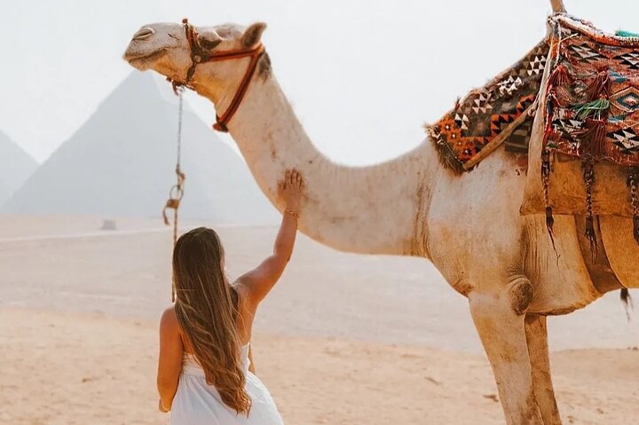 Tour privato di un'intera giornata: Piramidi di Giza, Sfinge, Saqqara e Dahshur