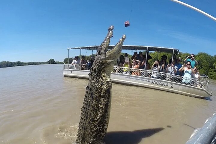 O Croc Bus para o famoso Jumping Crocodile Cruise