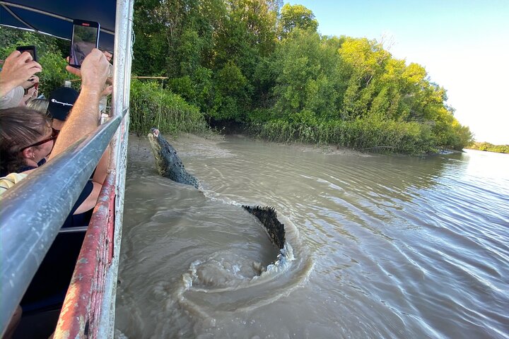 O Croc Bus para o famoso Jumping Crocodile Cruise