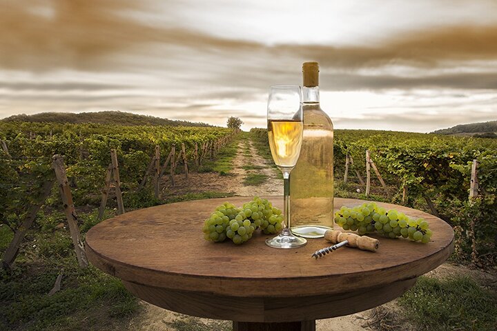 Provence Organic Wine Tasting Half Day Tour from Nice