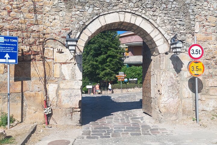 Ohrid UNESCO Heritage : Visite guidée d'une journée au départ de Skopje