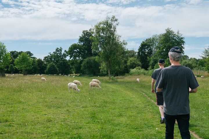 Visite partagée des Cotswolds cachés au départ de Bath pour 2-8 personnes
