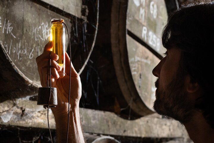Provsmakning Bourgoin Cognac den riktiga vinodlarens konjak