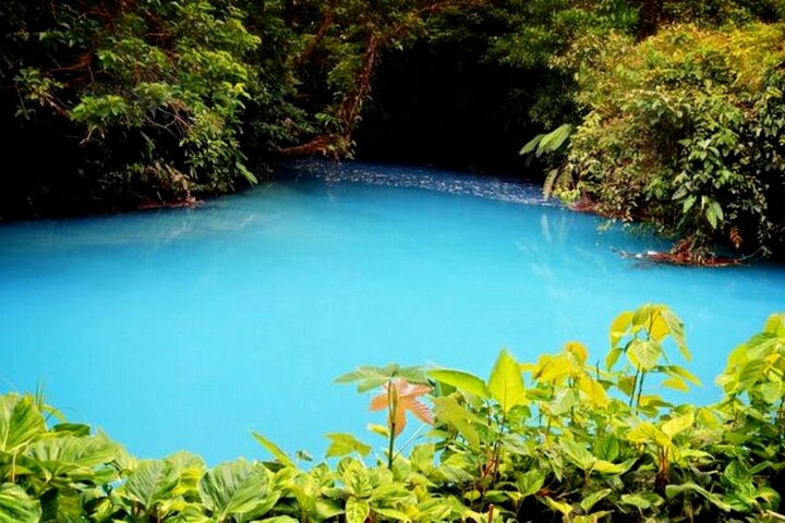 RIO CELESTE FLOD: Tubing+Regnskog+Djurliv+Vattenfall+Active Volcano (PRIVAT)