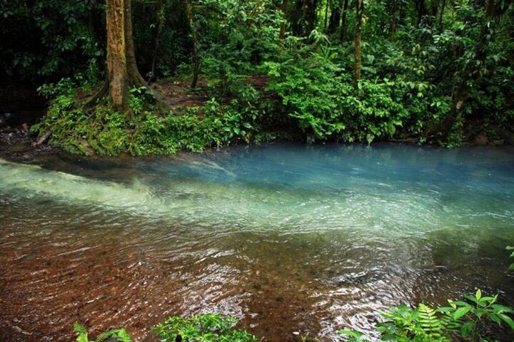 RIO CELESTE FLOD: Tubing+Regnskog+Djurliv+Vattenfall+Active Volcano (PRIVAT)