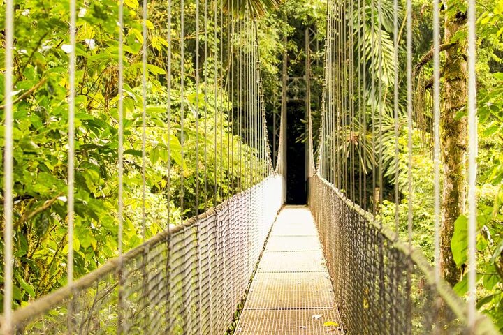 Fågelskådningstur i Mistico Arenal Hanging Bridges Park från Guanacaste