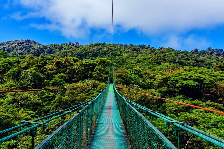 Fågelskådningstur i Mistico Arenal Hanging Bridges Park från Guanacaste