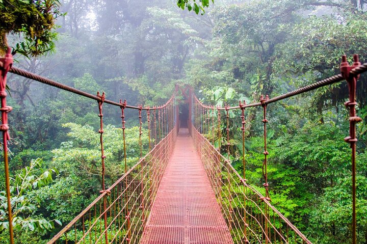 Fågelskådningstur i Mistico Arenal Hanging Bridges Park från Guanacaste