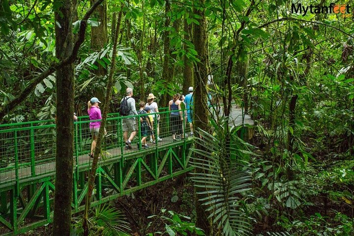 Fågelskådningstur i Mistico Arenal Hanging Bridges Park från Guanacaste
