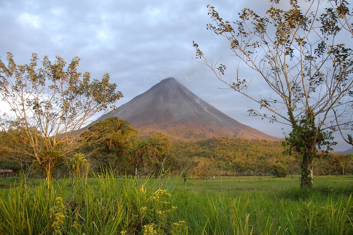 Arenal Volcano & Hot Springs Heldagstur från San José