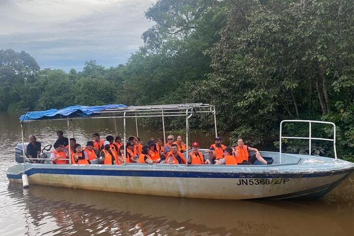 Cruzeiro pelo rio Borneo (Klias) e passeio pelos vaga-lumes