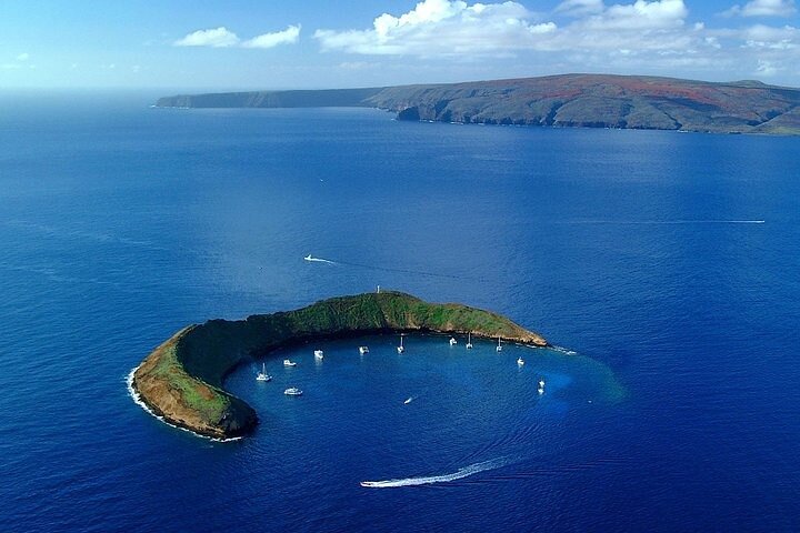 Maui eftermiddag snorkling ombord Malolo til Molokini eller koral haver