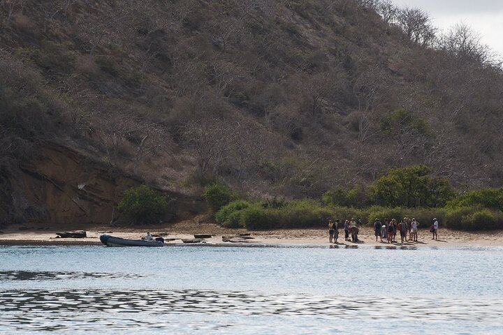 Excursão de dia inteiro à Ilha Floreana, incluindo caminhada e mergulho com snorkel