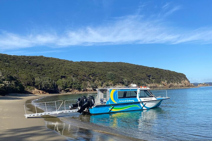 Bay of Islands Cruise & Island Tour - Snorkel, vandre, svømme, dyreliv