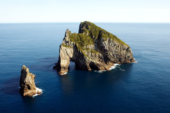 Bay of Islands Cruise & Island Tour - Snorkel, vandre, svømme, dyreliv