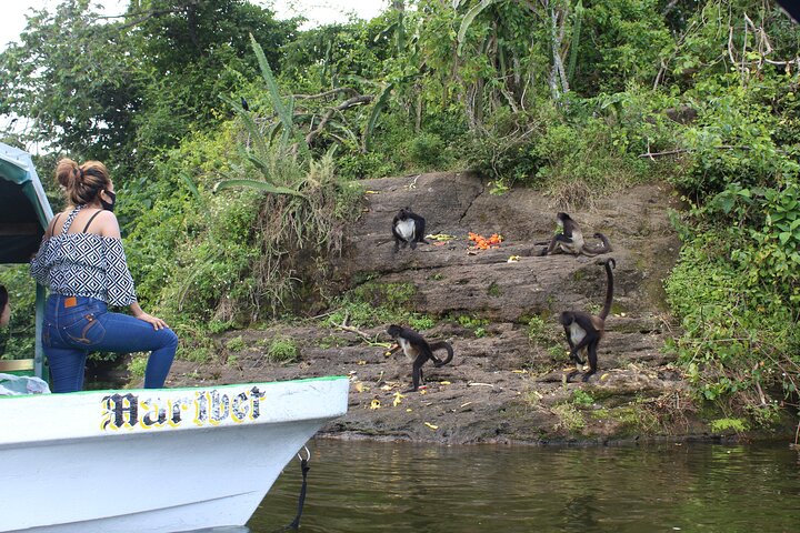 Volledige dagtour naar Catemaco en Los Tuxtlas met vervoer