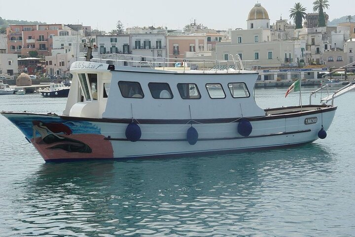 Rundvisning på øen Ischia med båd med frokost og svømning