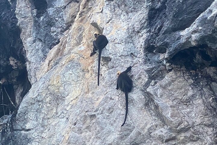 Lan Ha - Ha Long Bay - Dau Be ø 2D/1N fra Cat Ba i mindre turistede områder.