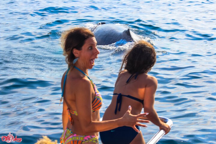 Marietas-Inseln-Nationalpark: Ganztägige ALL INCLUSIVE Tour