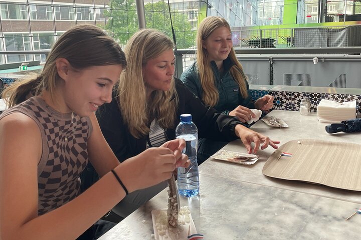 Rotterdam på en halv dag: Alt inklusive, autentisk privat rundvisning i Rotterdam