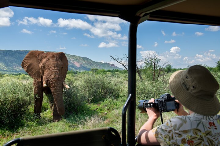 Full Day Ultimate Pilanesberg National Park Safari from Johannesburg or Pretoria