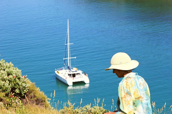 Day Sailing Cruise in Bay of Islands with Lunch & Island Stop