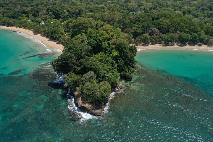 Ganztägige Schnorcheltour in Cahuita, Faultier-Schutzgebiet von Puerto Viejo de Limón