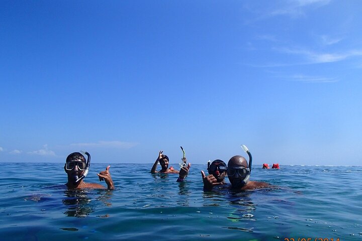 Ganztägige Schnorcheltour in Cahuita, Faultier-Schutzgebiet von Puerto Viejo de Limón