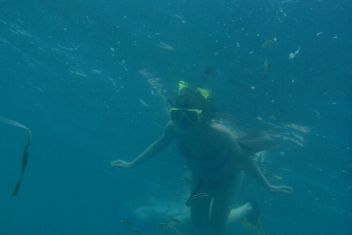 Ganztägige Schnorcheltour in Cahuita, Faultier-Schutzgebiet von Puerto Viejo de Limón