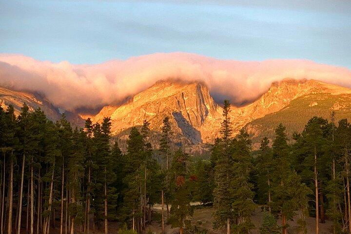 Excursão privada de vida selvagem em Rocky Mountain National Park