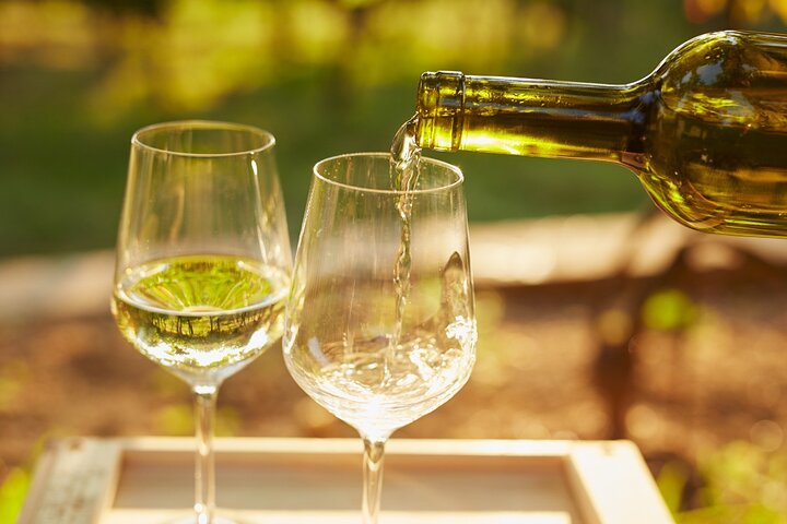 Cinque Terre: Autentisk Pesto matlagingsklasse og vin i Manarola