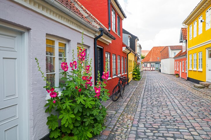 Tour privado a pie por el patrimonio histórico de Odense